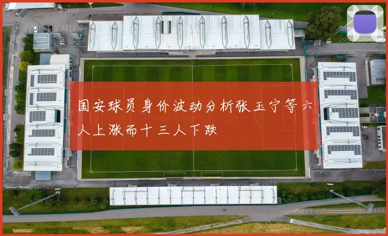 国安球员身价波动分析张玉宁等六人上涨而十三人下跌